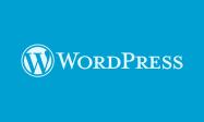 记笔记:wordpress自定义字段如果有内容则显示没内容则不显示判断语句-乐搜源码