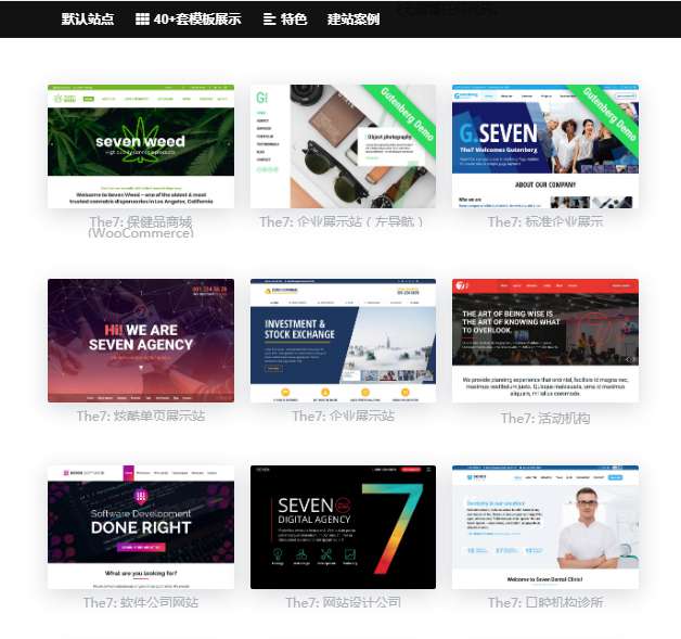 wordpress主题The7_ v9.40可视化建站最新已经汉化版带秘钥 wordpress主题The7_ v9.40可视化建站最新已经汉化版带秘钥